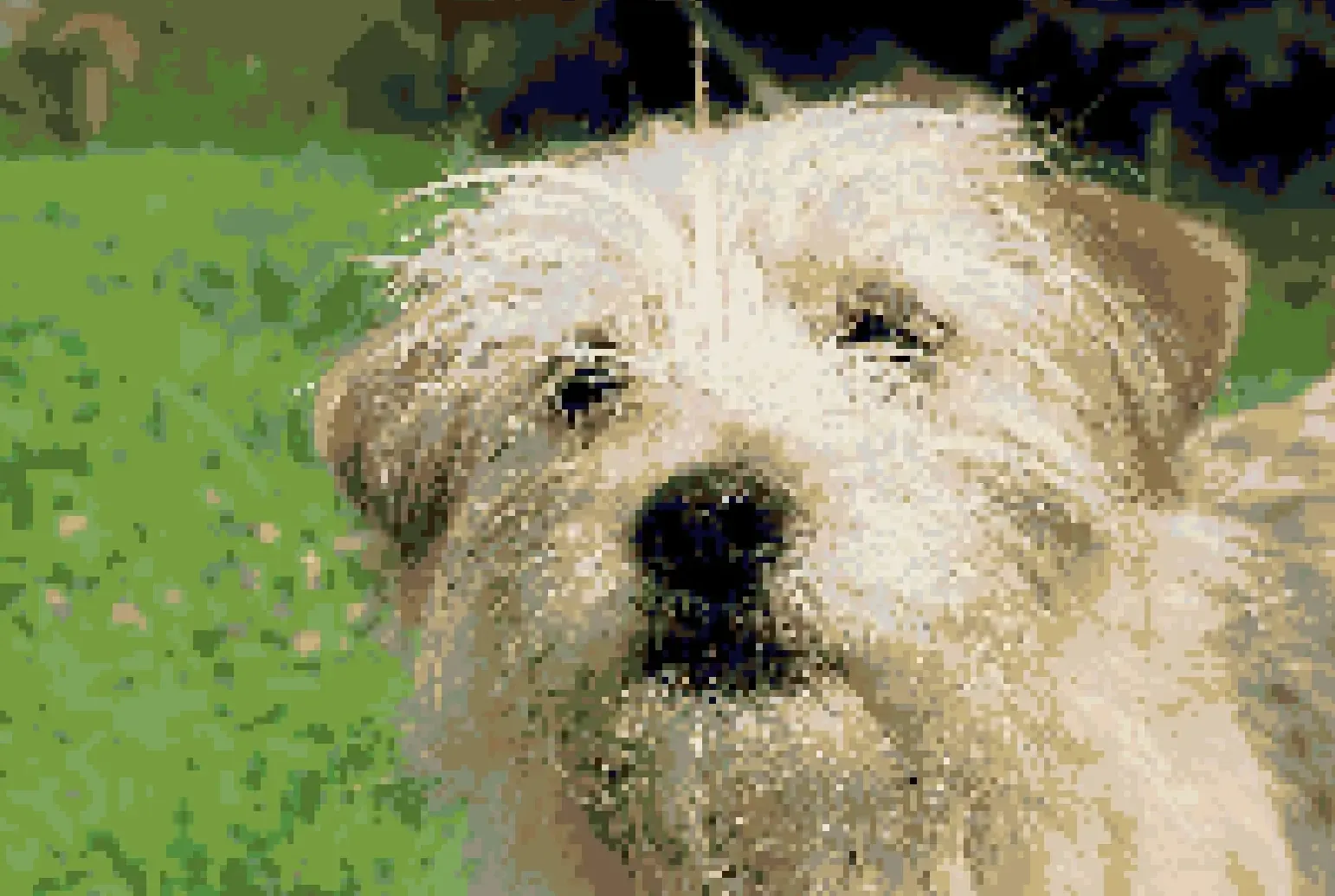 Dog portrait converted in StitchFiddle — 200×134, 25 DMC colors, canvas view
