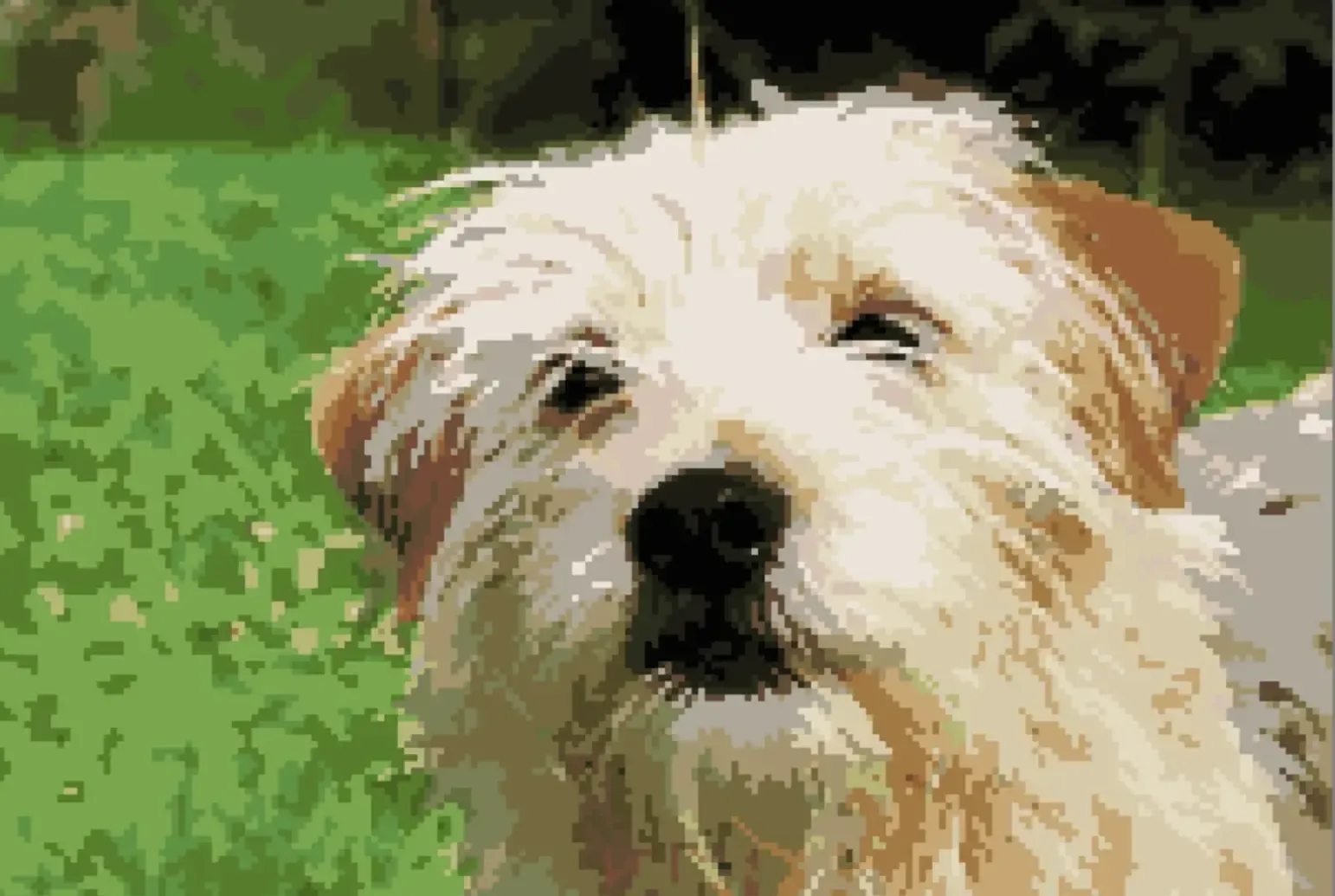 Dog portrait converted in Stitchmate — 200×134, 25 DMC colors, canvas view