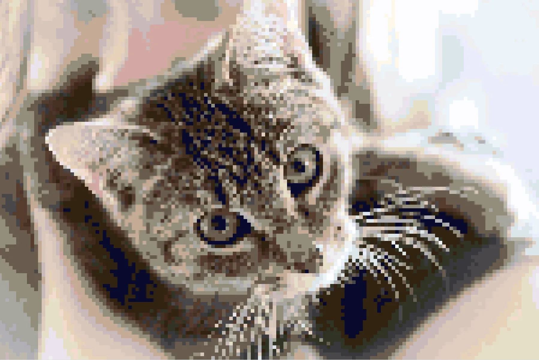 Cat portrait converted in StitchFiddle — 150×100, 30 DMC colors, canvas view