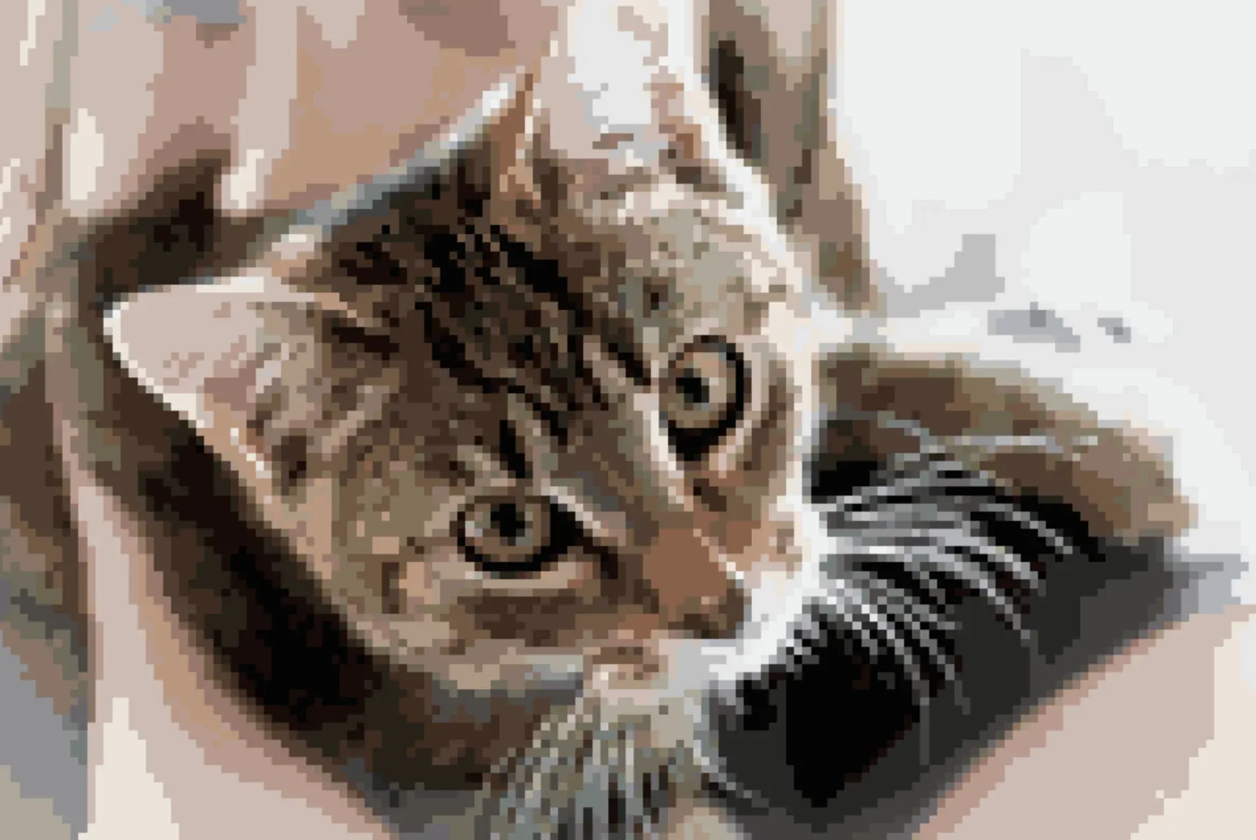 Cat portrait converted in Stitchmate — 150×100, 30 DMC colors, canvas view
